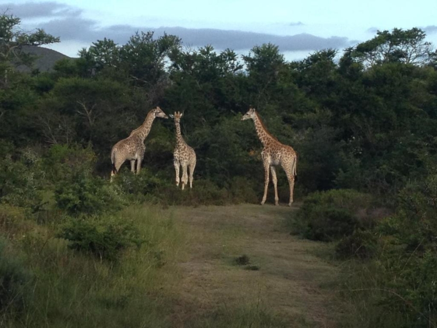  Bedroom Property for Sale in Mossel Bay Rural Western Cape